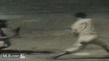 stephaniecorbitt  GIF