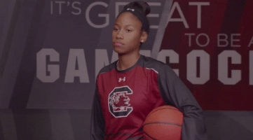 South Carolina What GIF by gamecocksonline