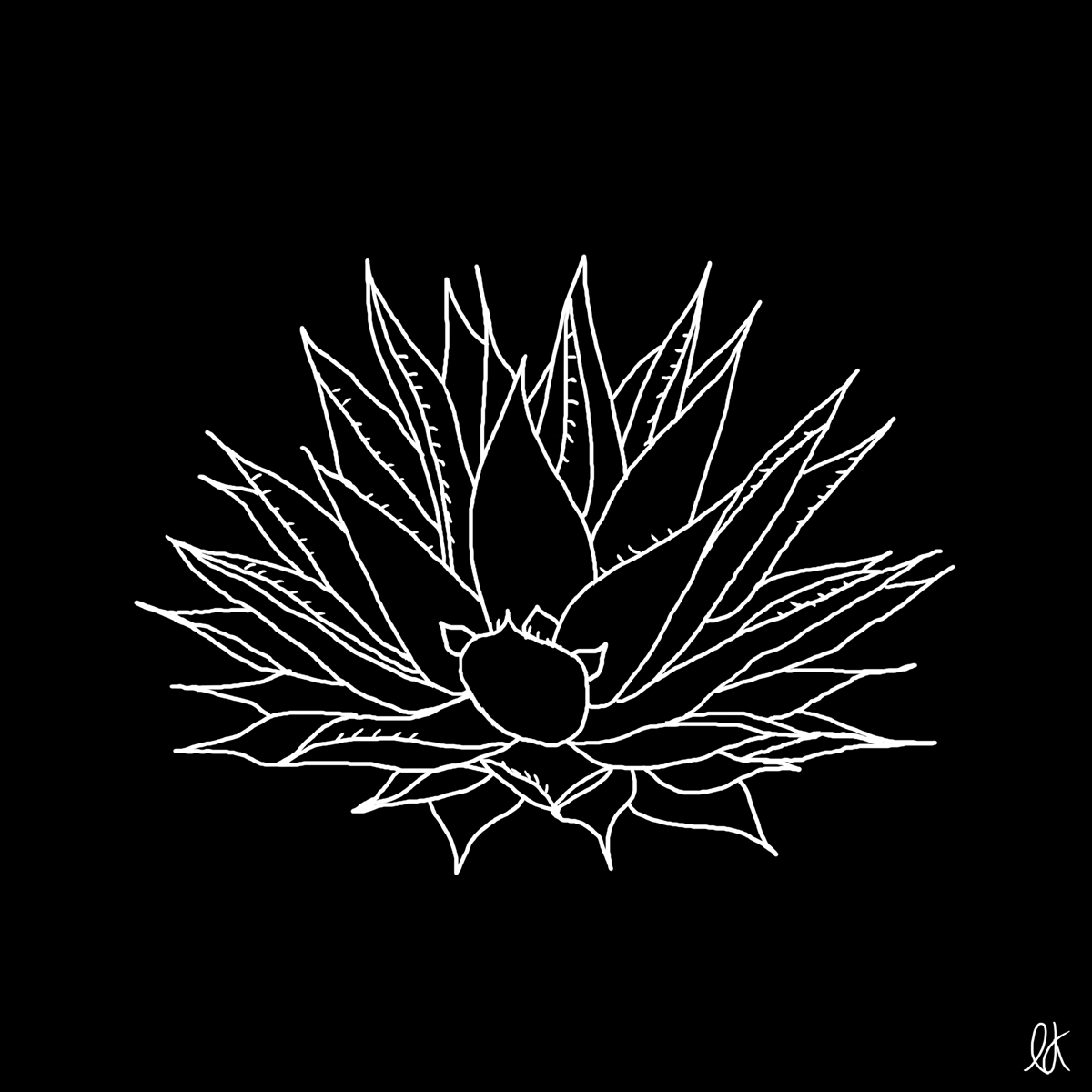 Black And White Flower GIF by littlekingdoms Find & Share on GIPHY