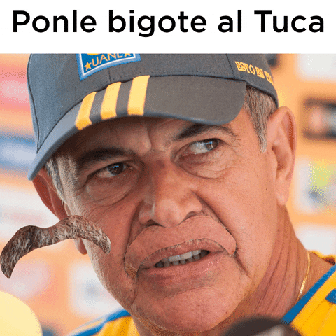 joaquinloyo soccer futbol mexico monterrey GIF