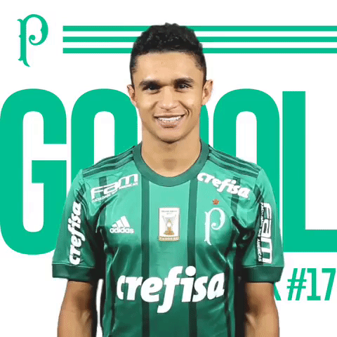 Gol GIF by SE Palmeiras