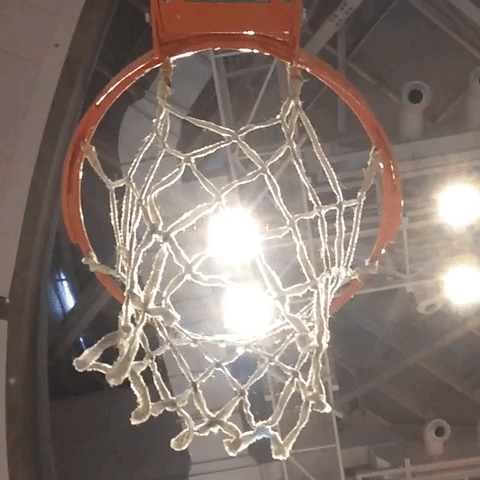 Basketball Basket GIF