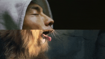 These Combined GIFs Will Blow Your Mind by Reaction GIFs | GIPHY