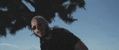 White Iverson GIF by Post Malone