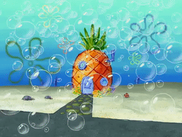 Season 4 Bummer Vacation GIF by SpongeBob SquarePants