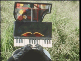 Animated GIF