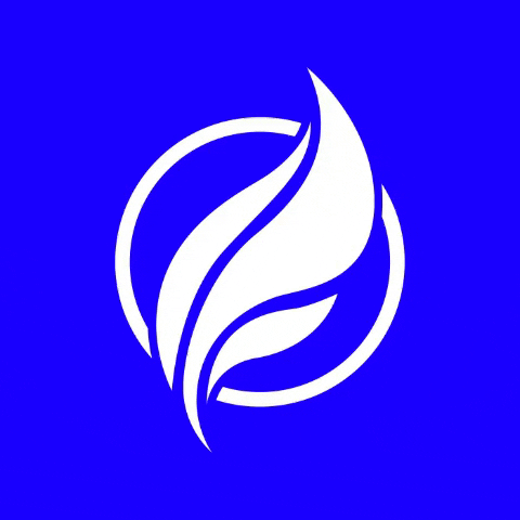 House Essential Records GIF