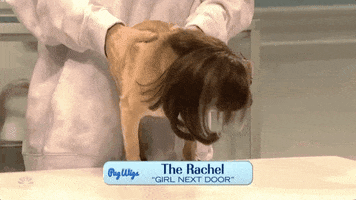 rachel green friends GIF by Saturday Night Live