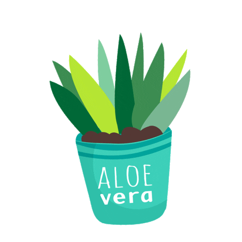 Vegan Aloevera Sticker by Vevaloe