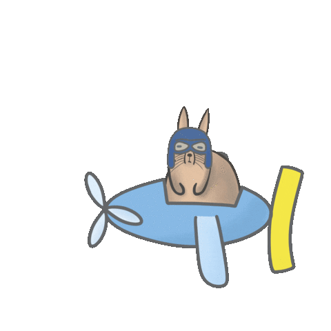 Airplane Sticker