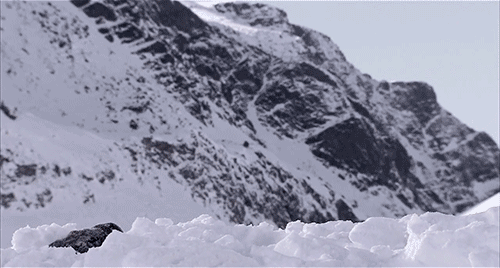 Dead Snow Horror GIF by Shudder