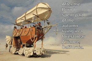 emilytepper love fun GIF