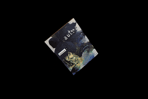 denisesnault irreverent xi : l'autre GIF