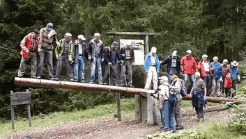 giuls990  GIF