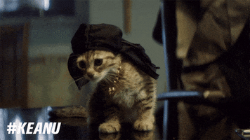 Cat Spin GIF by Keanu Movie