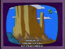 Season 4 Tumbleweeds GIF by The Simpsons