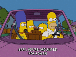 homer simpson car GIF