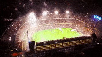 Boca Juniors GIF by Tomi Ferraro, Sportz