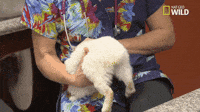 Warmer-feelings GIFs - Get the best GIF on GIPHY