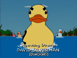episode 14 ducks GIF