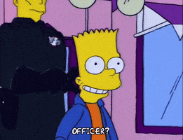 season 6 officer GIF
