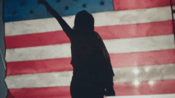 American Flag Usa GIF by Rihanna