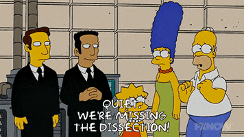 200.gif?cid=fc005b082b229820dba04a033a589a24e153be7f93328976&rid=200.gif&ct=g