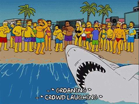 funny shark gif