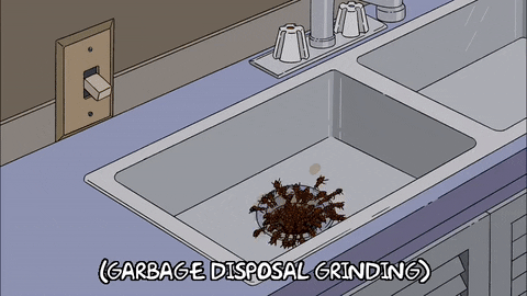Garbage Disposal GIFs - Get the best GIF on GIPHY