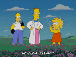 Asking Lisa Simpson GIF by The Simpsons
