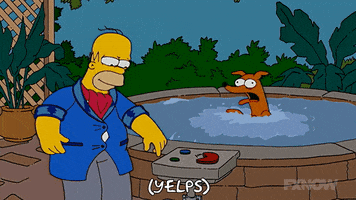 200.gif?cid=fc005b08eda454341bdc3dff8c47dac549aeb85f4010ef4e&rid=200.gif&ct=g