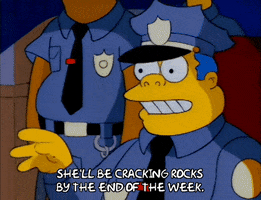 200.gif?cid=fc005b0837fc6e6420d3b7799719d5396b219c9ea1da2645&rid=200.gif&ct=g