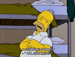 homer simpson episode 3 GIF