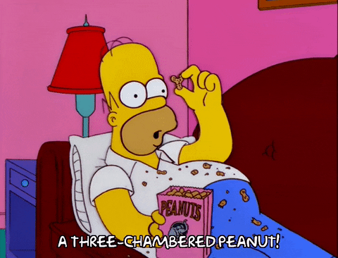 Homer Simpson Peanut GIF