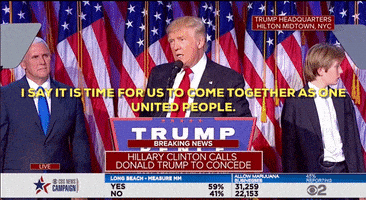 donald trump GIF by Election 2016
