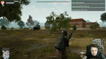 comfortdanielgmailcom  GIF