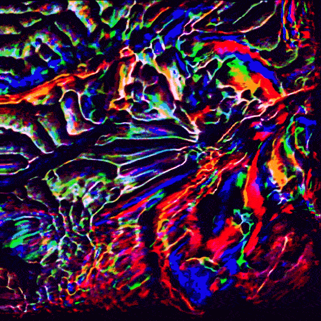 boopydummy  GIF