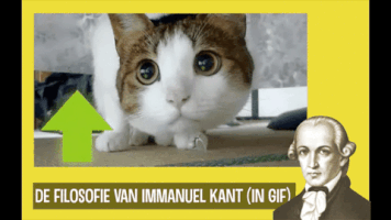 gerkotempelman kant immanuel kant filosofie deontologie GIF