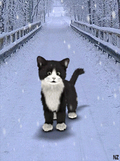 elkee  GIF