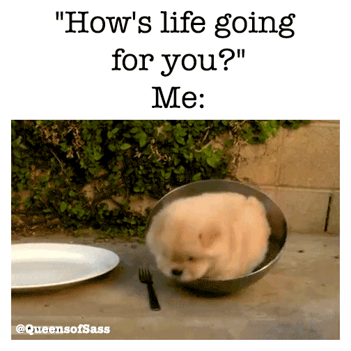 esjayt  GIF