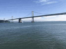 bay bridge niv shrug GIF by Product Hunt