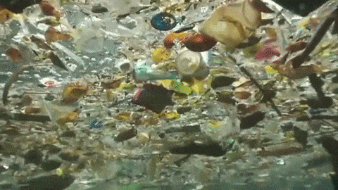 Plastic Waste GIFs - Get the best GIF on GIPHY