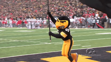 University Of Iowa Hawks GIF by University of Iowa Hawkeyes Athletics