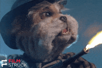 funny dogs with machine guns