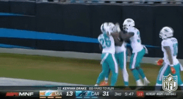 miami dolphins football GIF by NFL