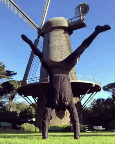 Yoga Dutch GIF by yogabullshit