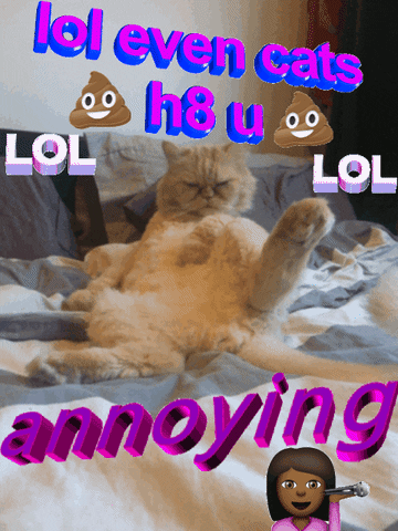 Cat Lou GIF by Jess