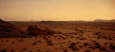 gifodyssey gifodyssey GIF