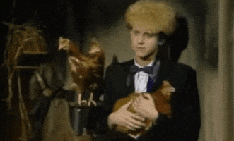 quack chicken depeche mode martin gore GIF
