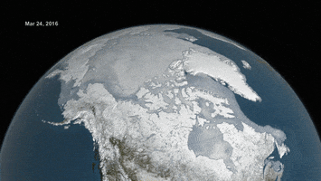 nasa sea ice GIF by NASA's Goddard Space Flight Center